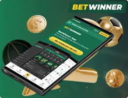 BetWinner in Cameroon Your Ultimate Betting Destination