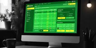BetWinner The Ultimate Betting Experience for Players in South